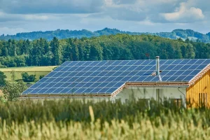 Solar panels in field